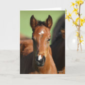Bob Langrish | Quarter Horse Foal Headshot Kaart (Gele Bloem)