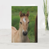 Bob Langrish | Quarter Horse Foal Headshot Kaart (Voorkant)