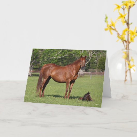 Bob Langrish Quarter Horse Mare and Foal Standing Kaart (Gele Bloem)