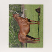 Bob Langrish Quarter Horse Mare and Foal Standing Legpuzzel (Verticaal)