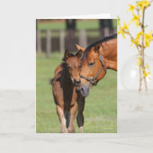Bob Langrish Quarter Horse Mare en Foal Cuddling Kaart (Gele Bloem)