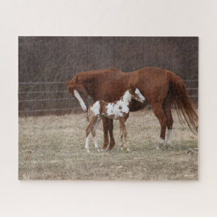 Bob Langrish Quarter Horse Mare en Paint Foal Legpuzzel