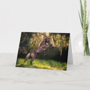 Bob Langrish Rakkervissenfokkerij in bergen Kaart