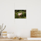 Bob Langrish | Shetland Pony in bloemen Poster (Keuken)