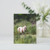 Bob Langrish | Shetland Pony met bloemen Briefkaart (Staand voorkant)