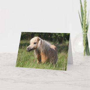 Bob Langrish Shetland Pony Permanent in Long Grass Kaart