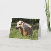 Bob Langrish Shetland Pony Permanent in Long Grass Kaart (Voorkant)