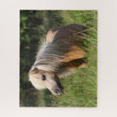 Bob Langrish Shetland Pony Permanent in Long Grass Legpuzzel (Verticaal)