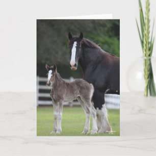 Bob Langrish   Shire Horse Mare and Foal Standing Kaart