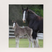 Bob Langrish | Shire Horse Mare and Foal Standing Legpuzzel (Verticaal)