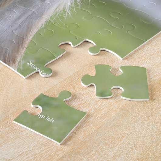 Bob Langrish | Shire Horse Mare and Foal Standing Legpuzzel (Zijkant)