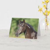 Bob Langrish | Spaans Mustang Mare Headshot Kaart (Gele Bloem)