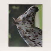 Bob Langrish | Spotty Appaloosa Headshot Legpuzzel (Verticaal)