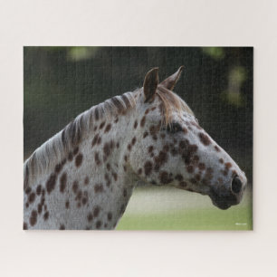 Bob Langrish Spotty Appaloosa Headshot Legpuzzel