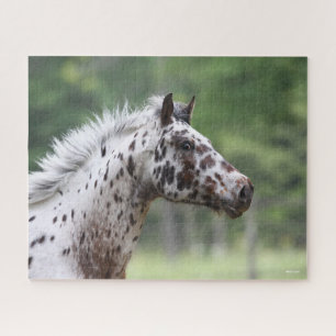 Bob Langrish Spotty Knapstrupper Headshot Legpuzzel