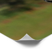 Bob Langrish | Spotty Pony of America Headshot Poster (Hoek)