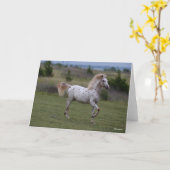 Bob Langrish | Spotty Pony of America Kaart (Gele Bloem)