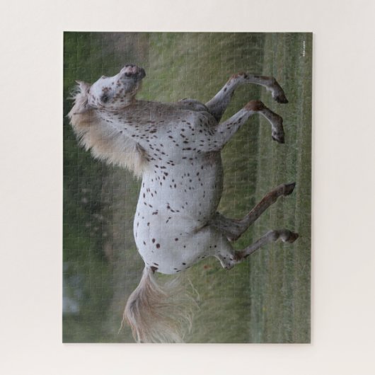 Bob Langrish | Spotty Pony of America Runing Legpuzzel (Verticaal)