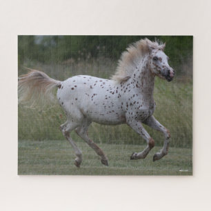 Bob Langrish Spotty Pony of America Runing Legpuzzel