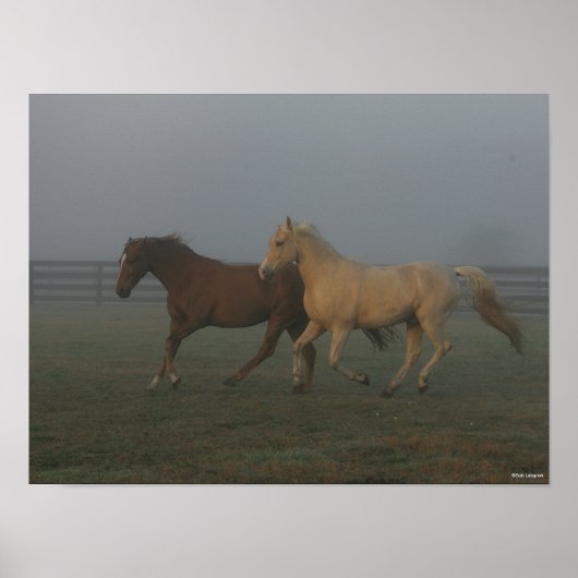 Bob Langrish | Tennessee Walking Horses Running Poster (Voorkant)