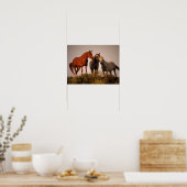 Bob Langrish Three Arab Horses die op zonsondergan Poster (Keuken)