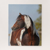 Bob Langrish Tobiano Paint Horse Stallion headshot Legpuzzel (Verticaal)