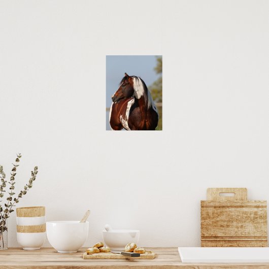 Bob Langrish | Tobiano Paint Stallion Headshot Poster (Keuken)