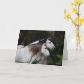 Bob Langrish | Twee Andalusiërs die met elkaar sam Kaart (Gele Bloem)