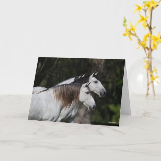 Bob Langrish | Twee Andalusiërs die met elkaar sam Kaart (Gele Bloem)