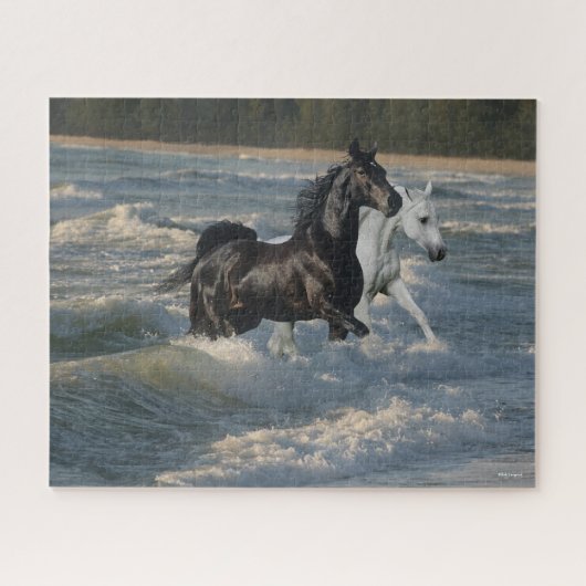Bob Langrish | Twee Arabische paarden die in de Ze Legpuzzel (Horizontaal)