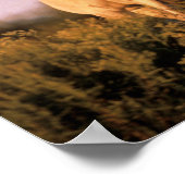 Bob Langrish | Twee Arabische paarden staan op de Poster (Hoek)