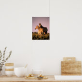 Bob Langrish | Twee Arabische paarden staan op de Poster (Keuken)