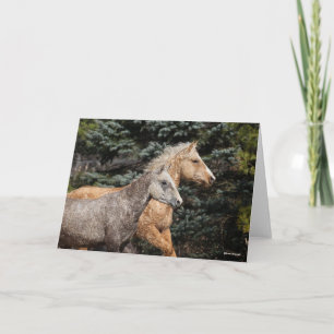 Bob Langrish   Twee Bashkir Curly-paarden — Hoofds Kaart