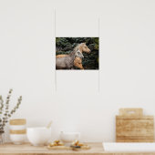 Bob Langrish | Twee Bashkir Curly-paarden — Hoofds Poster (Keuken)