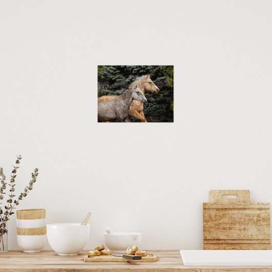 Bob Langrish | Twee Bashkir Curly-paarden — Hoofds Poster (Keuken)