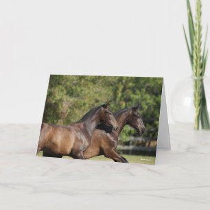 Bob Langrish   Twee bruine Andaluciaanse paarden d Kaart