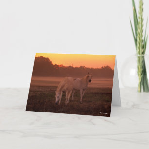 Bob Langrish   Twee grijze Arabische paarden Kaart