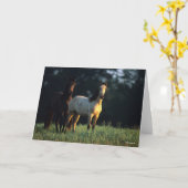 Bob Langrish | Twee Kiger Mustangs Permanent Kaart (Gele Bloem)