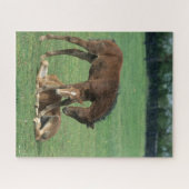 Bob Langrish | Twee Morgan Horse Foals Pspelen Legpuzzel (Horizontaal)