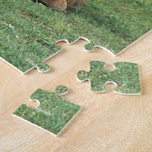 Bob Langrish | Twee Morgan Horse Foals Pspelen Legpuzzel (Zijkant)