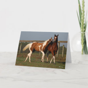 Bob Langrish   Twee verfpaarden die samen spelen Kaart