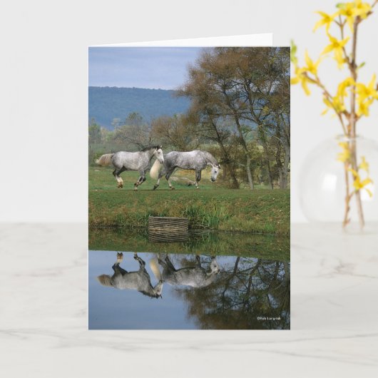 Bob Langrish | Twee warmbloedige pannen van het me Kaart (Gele Bloem)