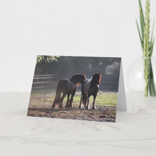 Bob Langrish | Twee zigeunerventilatoren met achte Kaart (Voorkant)