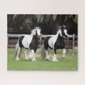 Bob Langrish | Twee zwarte en witte gipspanners Legpuzzel (Horizontaal)