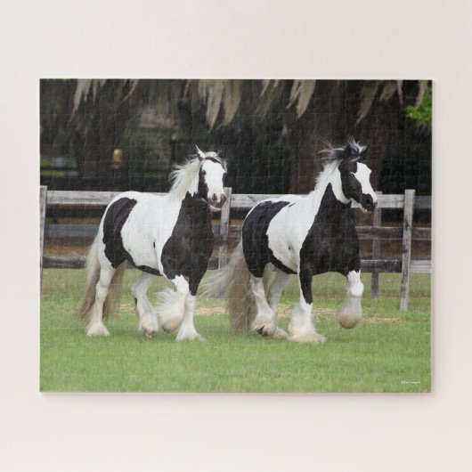 Bob Langrish | Twee zwarte en witte gipspanners Legpuzzel (Horizontaal)