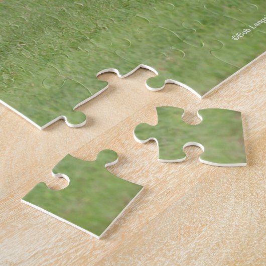 Bob Langrish | Twee zwarte en witte gipspanners Legpuzzel (Zijkant)