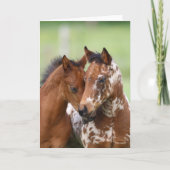 Bob Langrish | Two Appaloosa Foals Meeting Kaart (Voorkant)