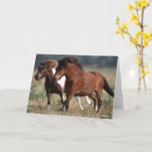 Bob Langrish Two Shetland Ponies die samen lopen Kaart (Gele Bloem)