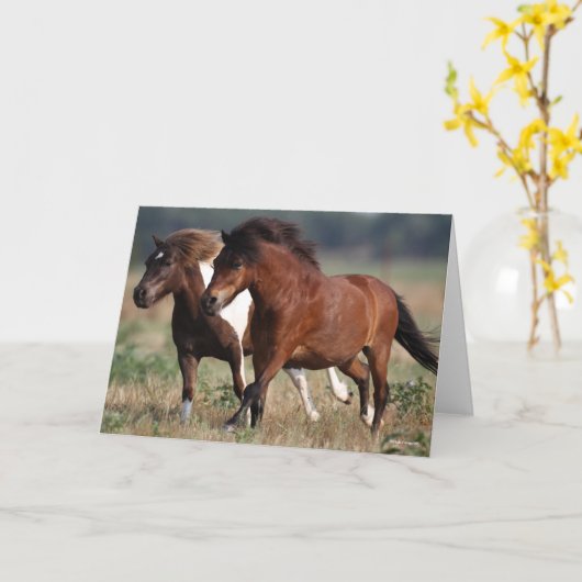 Bob Langrish Two Shetland Ponies die samen lopen Kaart (Gele Bloem)