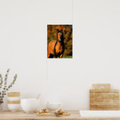 Bob Langrish | Vaststaand Pony Chocktaw Poster (Keuken)